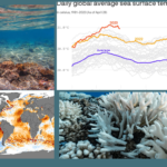 Oceans Set New Temperature Records