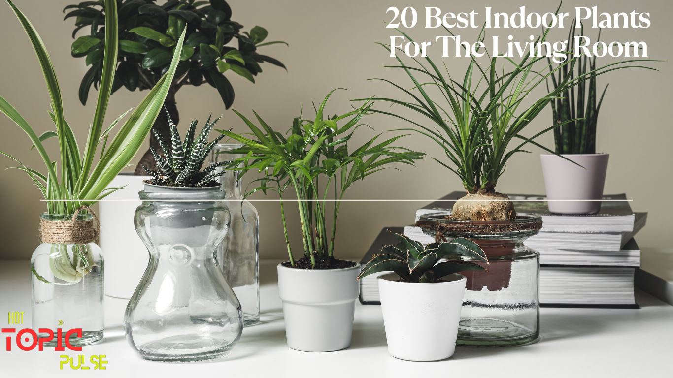 20 Best Indoor Plants For The Living Room